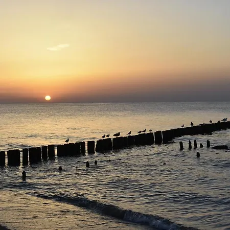 홈스테이 Belona *